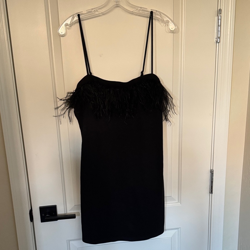 Wild Fable Black Mini Dress with Feather Trim